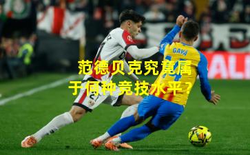 范德贝克究竟属于何种竞技水平？